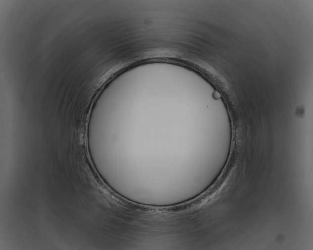 X0000097810929200803140755
