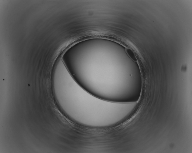 X0000097810930200803140755