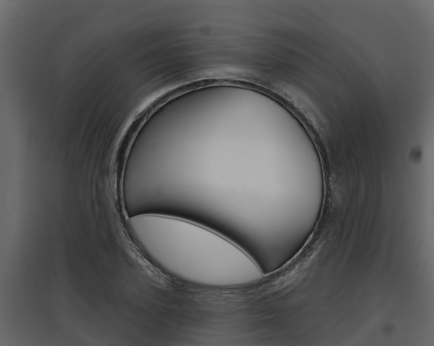 X0000097810931200803140755