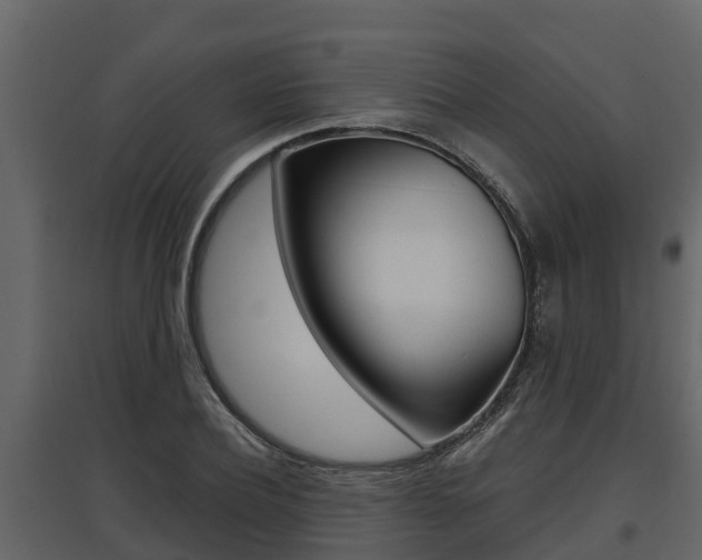 X0000097810932200803140755
