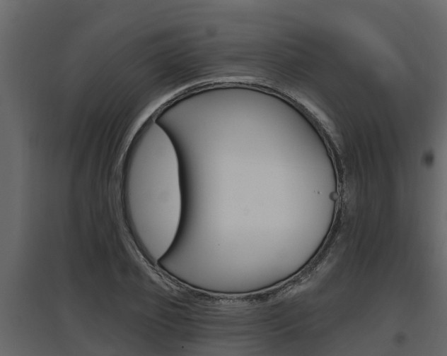 X0000097810933200803140755