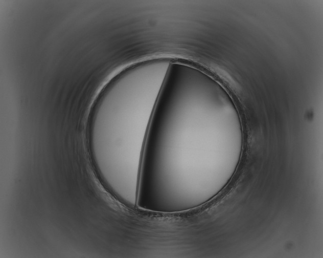 X0000097810934200803140755