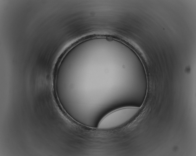 X0000097810935200803140755