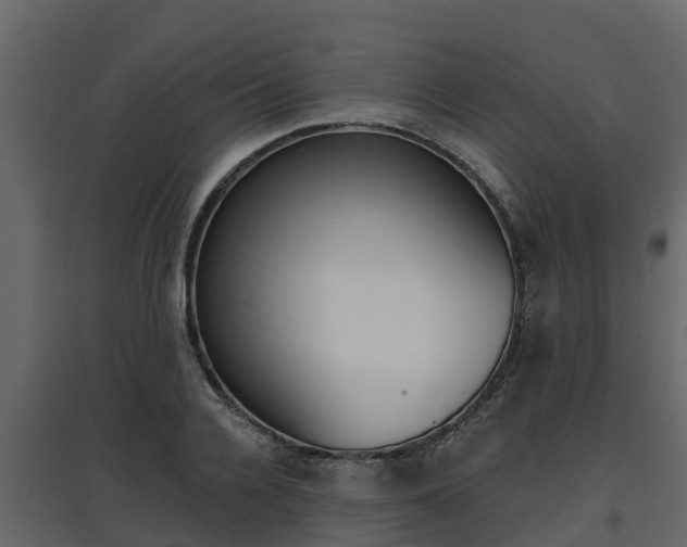 X0000097810936200803140755