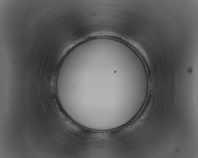 X0000097810937200803140755