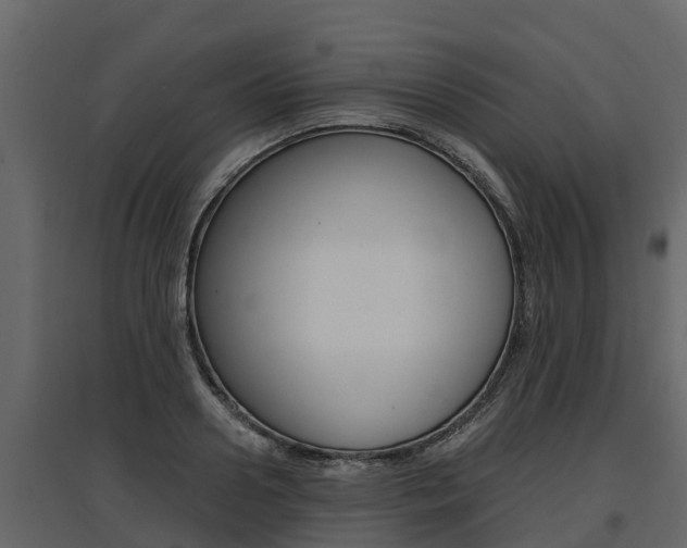 X0000097810938200803140755