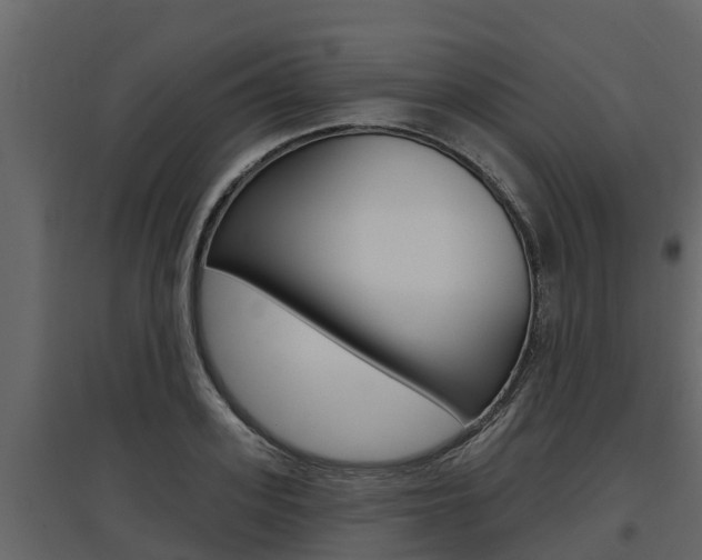 X0000097810939200803140755