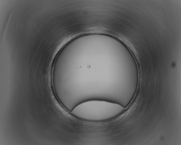 X0000097810941200803140755