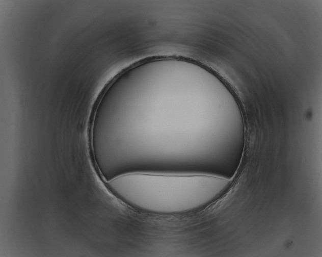 X0000097810943200803140755