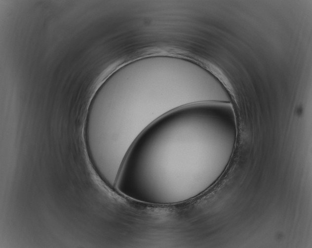 X0000097810946200803140756