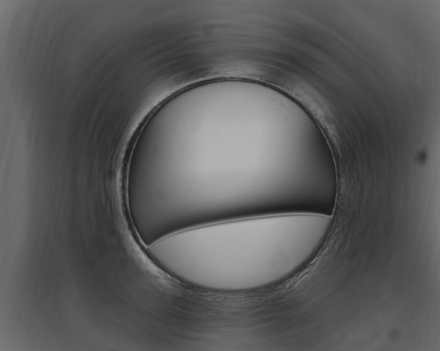 X0000097810947200803140756