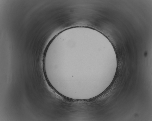 X0000097810950200803140756