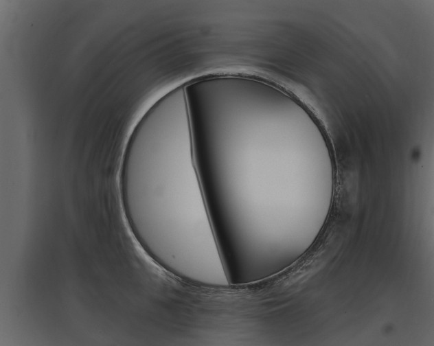 X0000097810951200803140756