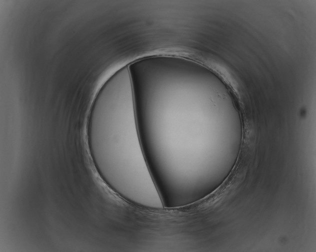 X0000097810952200803140756