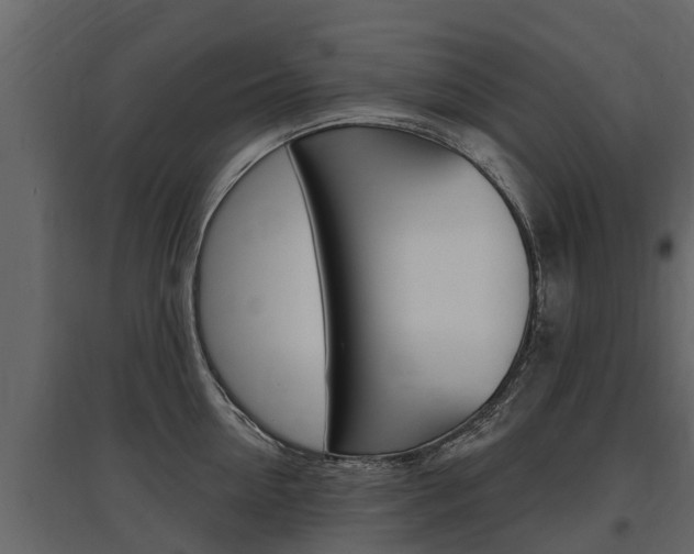 X0000097810954200803140756
