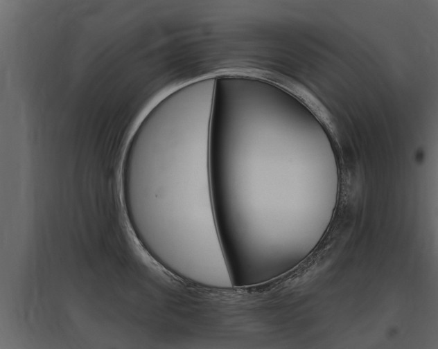 X0000097810955200803140756