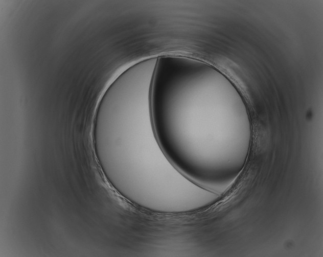 X0000097810956200803140756