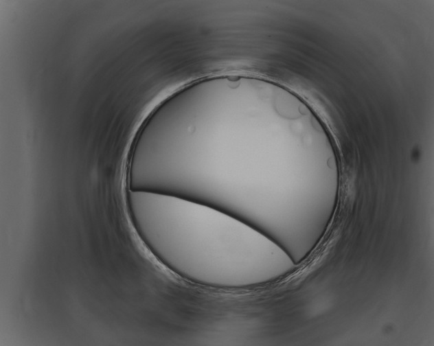 X0000097810957200803140756