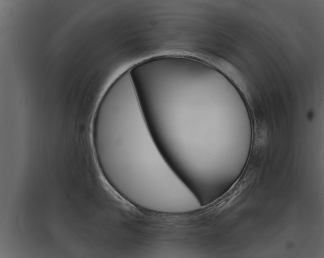 X0000097810958200803140756
