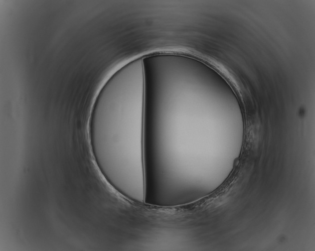 X0000097810959200803140756