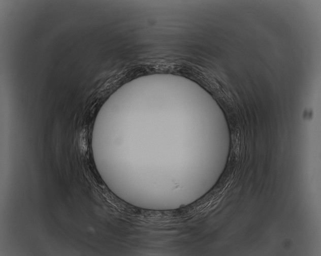 X0000097810962200803140755