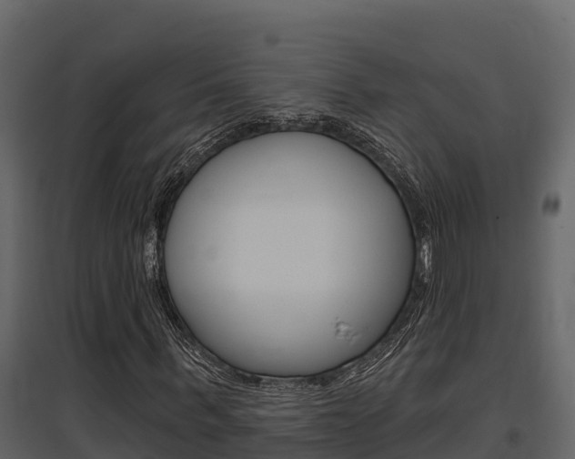 X0000097810963200803140755