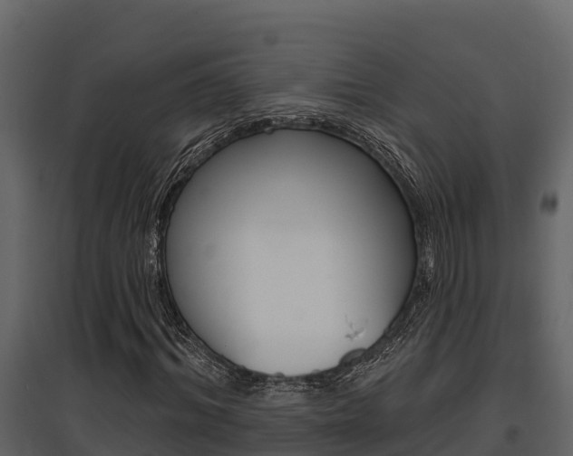 X0000097810964200803140755