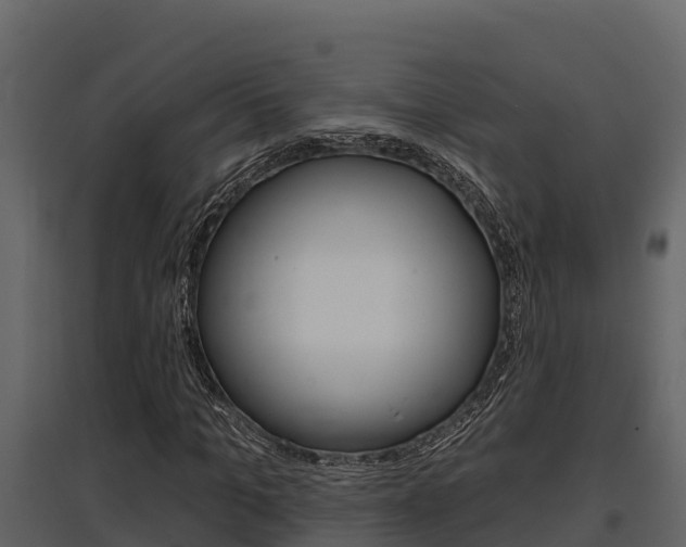 X0000097810965200803140755