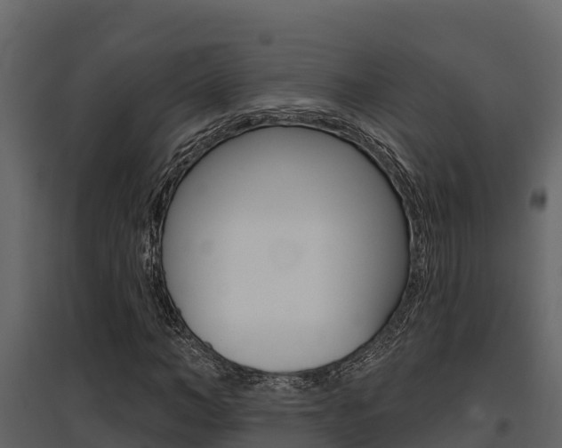 X0000097810966200803140755