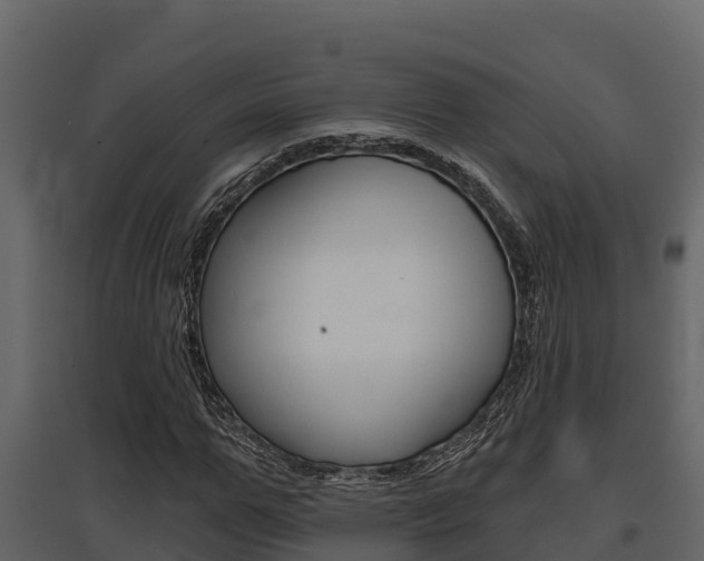 X0000097810967200803140755