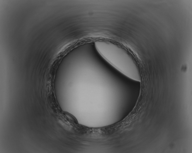 X0000097810968200803140755