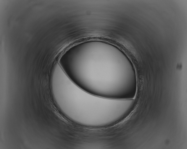 X0000097810969200803140755