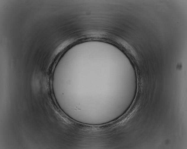 X0000097810970200803140755