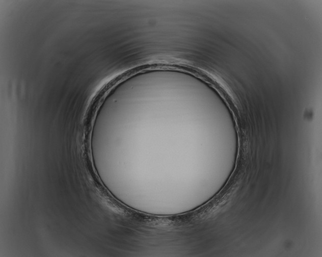 X0000097810971200803140755