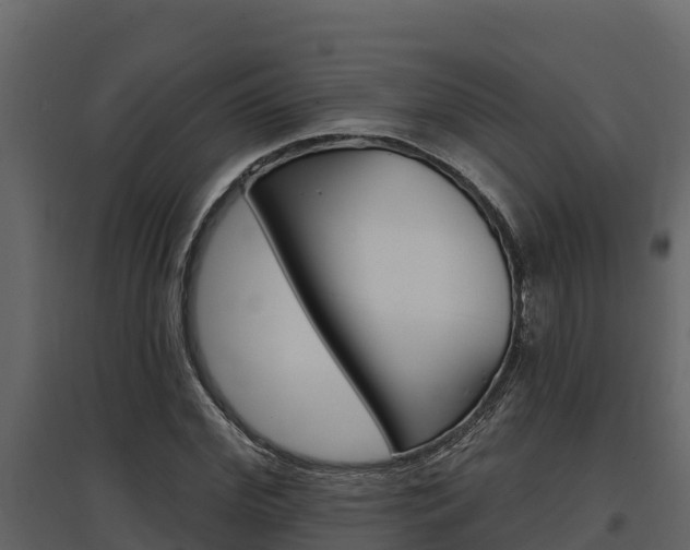 X0000097810972200803140755