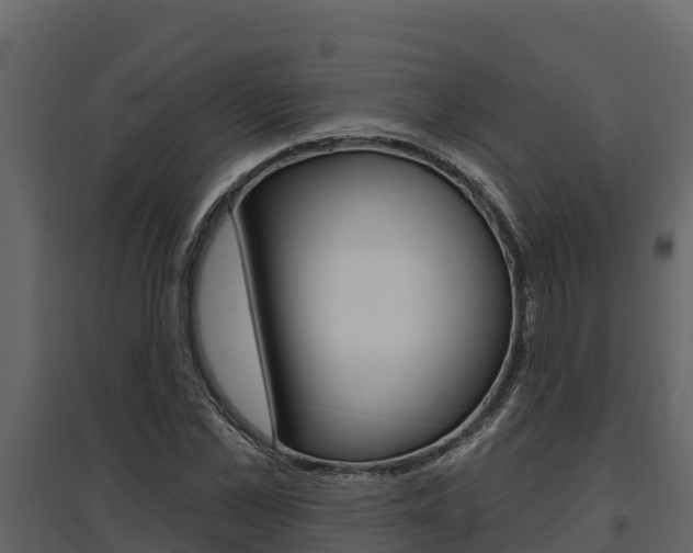 X0000097810973200803140755