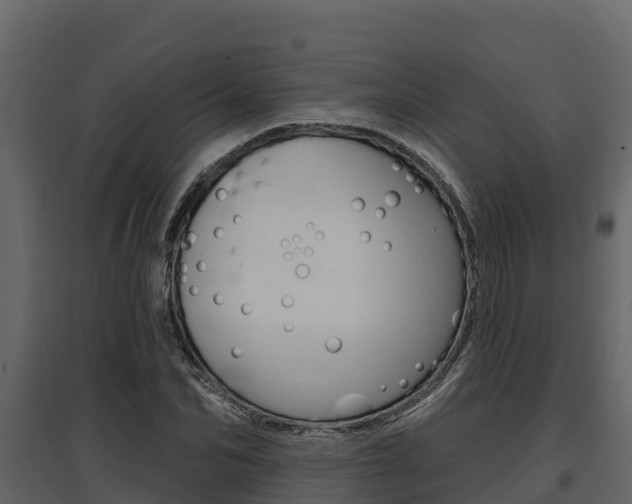 X0000097810974200803140755