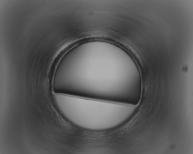 X0000097810975200803140755