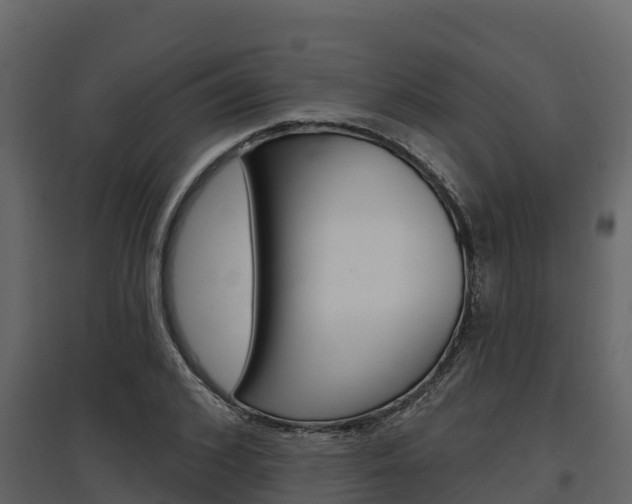 X0000097810976200803140755