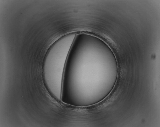 X0000097810977200803140755