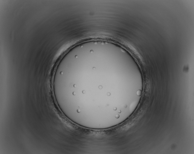 X0000097810978200803140755