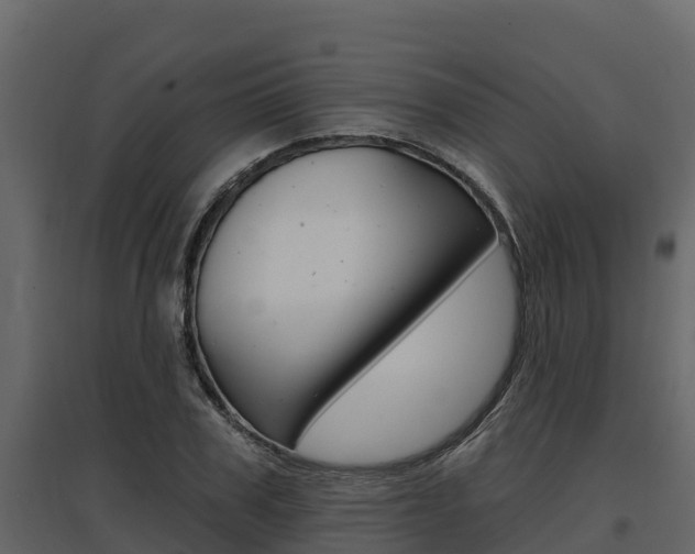 X0000097810979200803140755