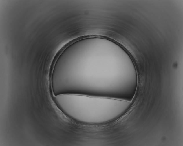 X0000097810980200803140755