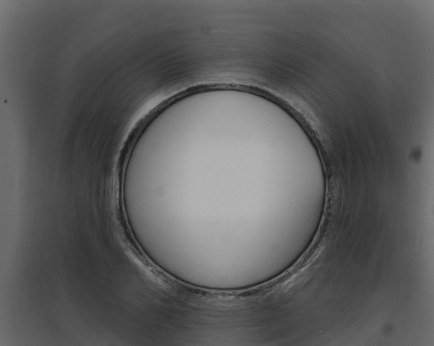 X0000097810982200803140755