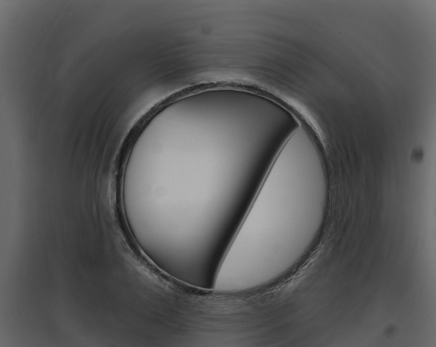 X0000097810983200803140755