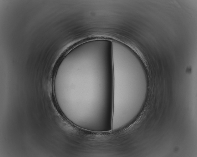 X0000097810984200803140755