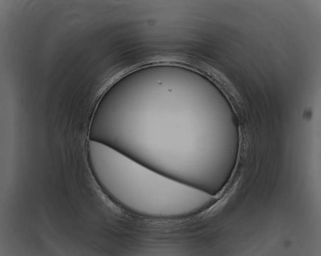 X0000097810985200803140755