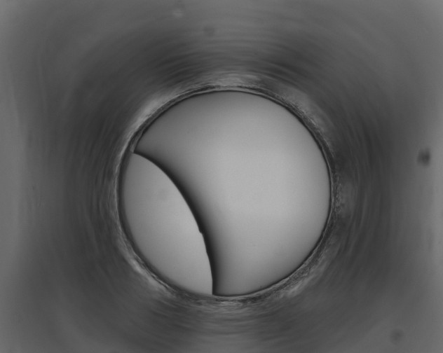 X0000097810986200803140755