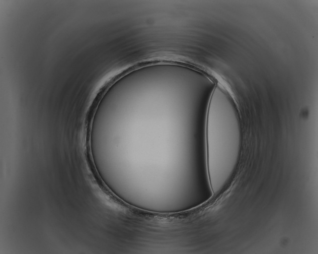 X0000097810987200803140755
