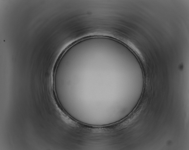 X0000097810988200803140755